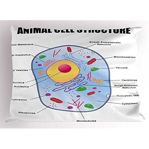 Ambesonne Microbiology Animal Cell Pillow Sham Cover