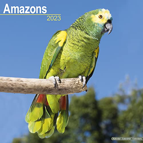 Top 11 Best Parrot Calendars 2023 - CalendarBuy.com