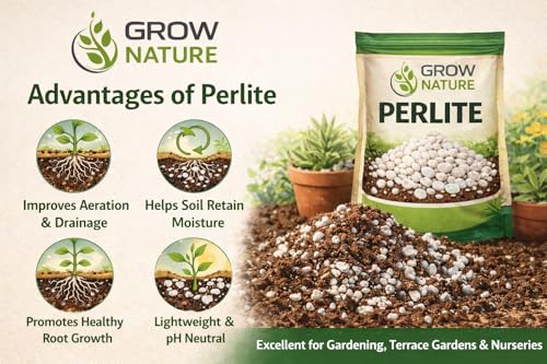 Image of Perlite for Plants | Horticulture Grade Soil Conditioner for Gardening, Terrace & Nursery | Improves Drainage & Aeration (100g)