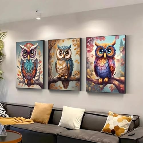 Toile de hibou coloré 60x80cm triptyque moderne sans cadre pour décoration murale