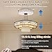 Electric Chandelier Hoist, 2 in 1 Chandelier Hoist Lifter System w/Remote Control+Wall Switch, 110LBS Villas Pendant Lamps Lifter 4.27ft/min Lifting Speed for Lamp Cleaning Maintenance