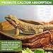 Reginary 4 Pcs Uvb Reptile Light 10.0 26 W, Reptile Uvb Bulb for Desert Tropical Sub Tropical Reptiles Fluorescent Simulation Color Reptiles Light for Turtle, Bearded Dragon, Lizard, Gecko