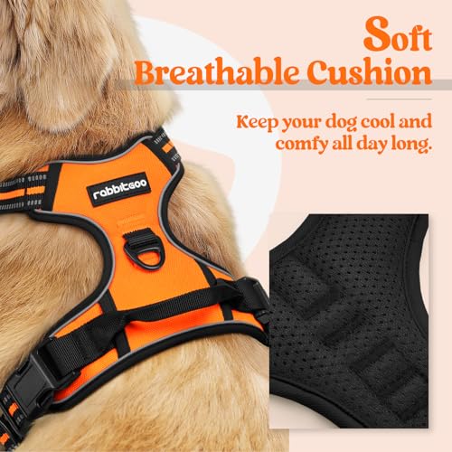 Image of rabbitgoo Dog Harness No Pull with 2 Leash Clips, Adjustable Soft Padded, Reflective Oxford No Choke Pet Vest with Easy Control Handle for Large Dogs, Orange, XL