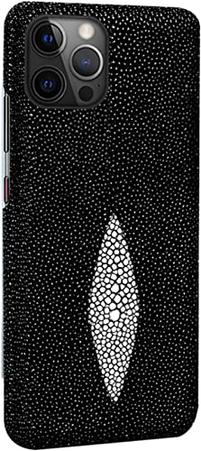 Étui en cuir résistant aux chocs iPhone 12 Pro Max housse de protection antichoc noire