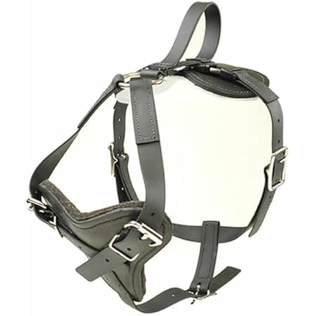 signature k9 harness
