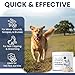 Chew + Heal Labs Styptic Powder for Dogs - .5 oz Quick Stop Bleeding for Dogs Nails & Animal Cuts - Blood Stop Clotting Powder & Wound Care