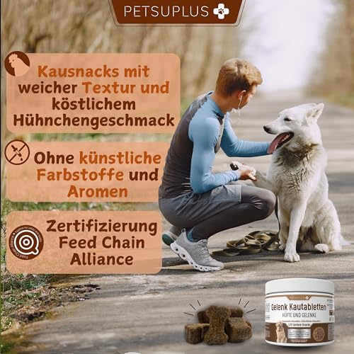 PETSUPLUS Gelenktabletten Hund mit Grünlippmuschel Hund, Hunde Gelenk Supplement Tabletten, Glucosamin MSM Chondroitin Kollagen Hyaluronsäure, stärkt Gelenke -120 Kautabletten