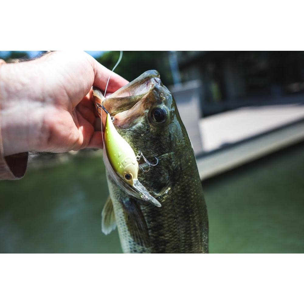 Berkley Leurre Dur pour la pêche au Sol