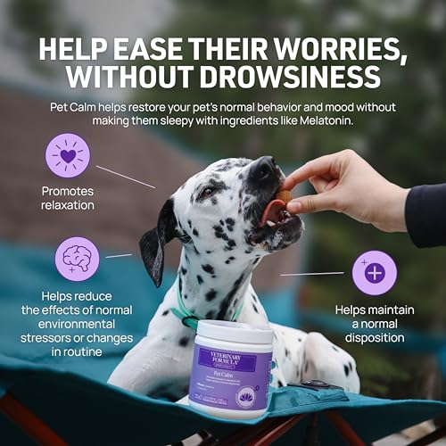 Image of Veterinary Formula Smart Vitality Pet Calm Supplement for Dogs - Soft Chews, 100ct - Promotes a Sense of Relaxation During Moments that May Cause Stress - Fireworks, Travel, Changes in Routine