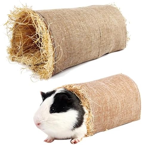 AUSYIWI - Túnel para hámster, túnel de heno para hámster, diámetr...