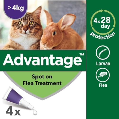 Advantage Spot On Flea Treatment For Large Cats and Rabbits Over 4kg (4 pipettes, 80mg), Kills Fleas Within 24 Hours, Prevents Further Infestation For Up To Four Weeks in Cats - Image 4