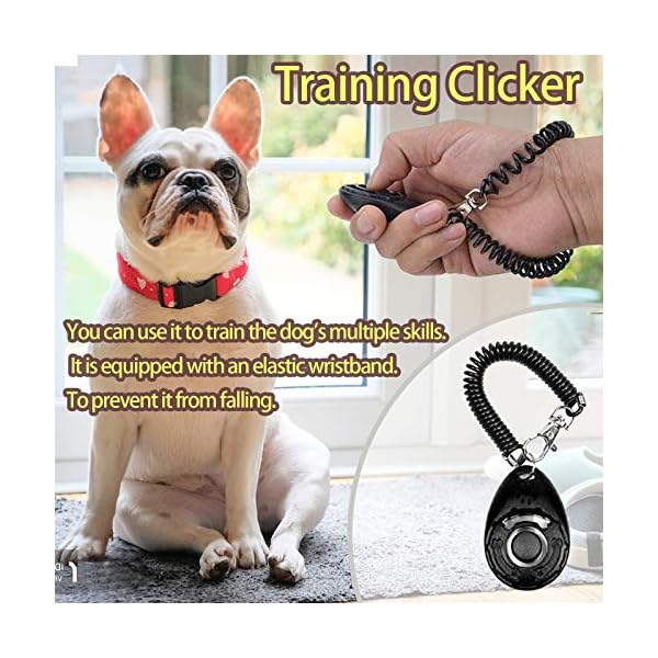 SSRIVER Puppy Training Kit 6 Pcs Adjustable Puppy Doorbells for Dogs Training Bag Whistle to Control Stop Barking Dog Bowl and Poop Bag Pet Trainer Dog Training Set Clicker SSRIVER Puppy Training Kit 6 Pcs Adjustable Puppy Doorbells for Dogs Training Bag Whistle to Control Stop Barking Dog Bowl and Poop Bag Pet Trainer Dog Training Set Clicker