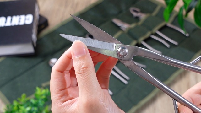Set de Utensilios para Bonsái 6 Piezas con Estuche miniatura 7