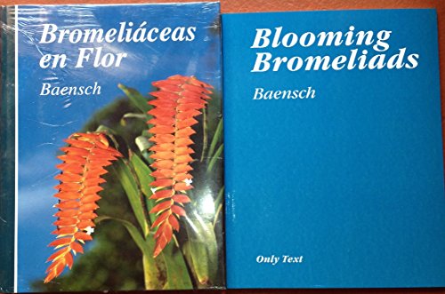 Blooming Bromeliads