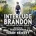 Interlude: Brandon: The Game Is Life, Book 3