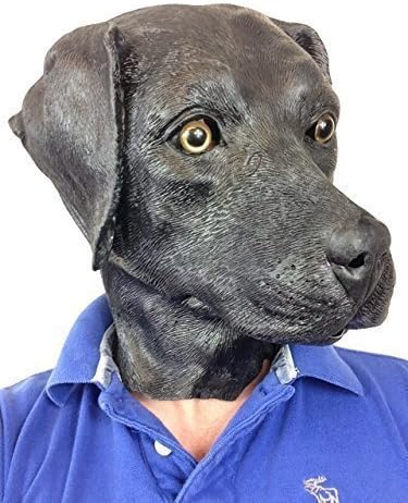 sverminatori canini per cani di piccola taglia