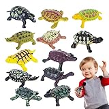 ✺Cadeau parfait : débloquez l'imagination des plus petits avec ces figurines de tortues de mer. Réalistes et pédagogiques, ils enseignent différents types de tortues marines et leurs habitats.