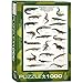Eurographics Coccodrilli e Alligatori Puzzle (1000 Pezzi)