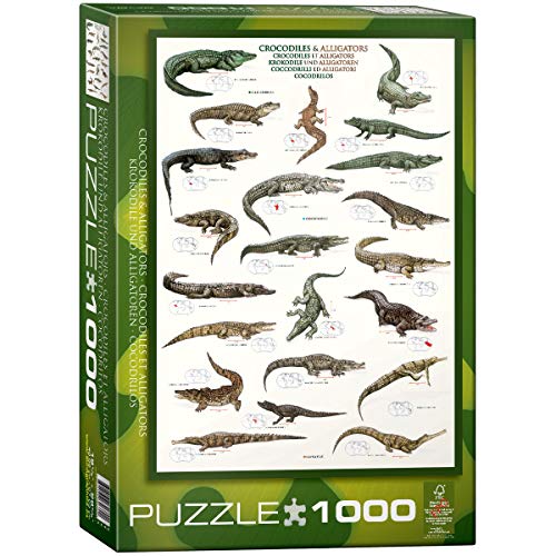 Preisvergleich Produktbild Eurographics Puzzle mit Krokodilen und Alligatoren, 1000 Teile