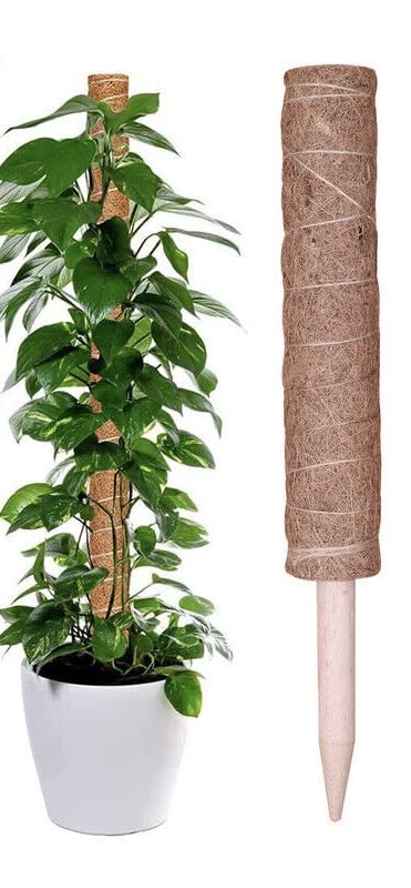 ADEPTNA Pack of 2 Coir Moss Plant Support Pole Totem Extension House Creeper Natural Coco Coir – Provides Natural Support for Plants Includes 10 Plant Ties and 10 Name Cards (60CM)