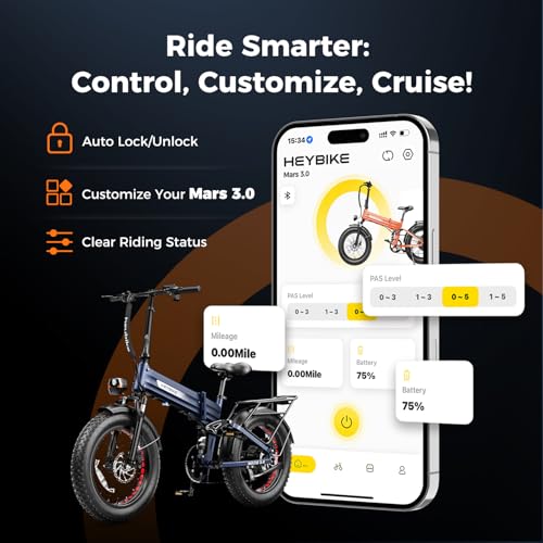 Electric Folding Mountain Bike