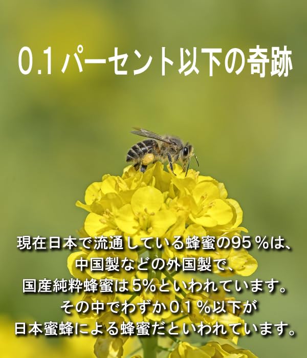 Amazon | 国産 希少な日本ミツバチの蜂蜜 300g 奇跡の生ハチミツ 非