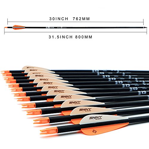Image of TIGER ARCHERY 30 inch Carbon Arrows for Compound Recurve Bow Hunting Target