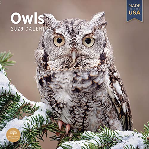 2023 Owls Monthly Wall Calendar By Bright Day, Made In The Usa, 12 X 12 Inch, Beautiful Nature Wildlife Animal Photography #TOP15