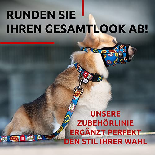 WAUDOG Nylon Hundeleine für Große, Mittelgroße und Kleinere Hunde, Welpen - Schleppleine