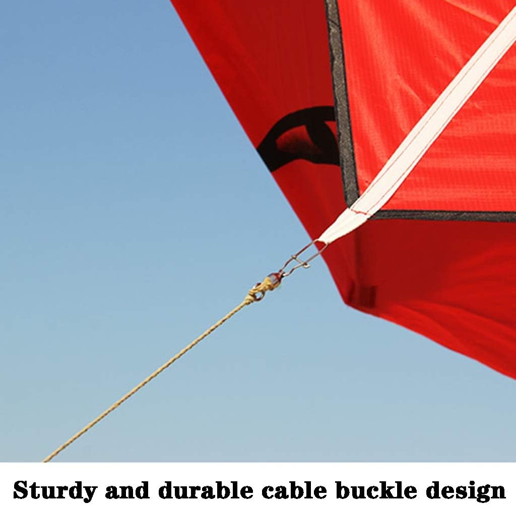 スカイスポーツ カイト 中国 濰坊 風箏 魚凧 海外商品 风筝 kite