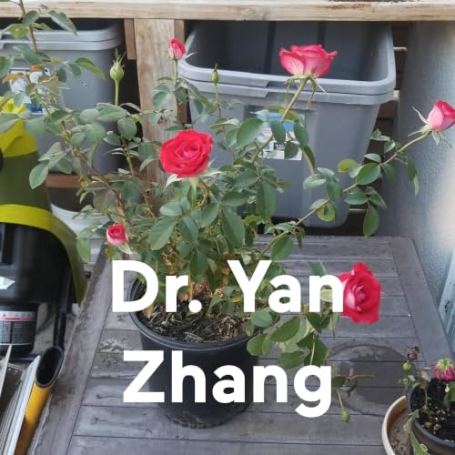 Dr. Yan Zhang https://yan-zhang-md.square.site cover art