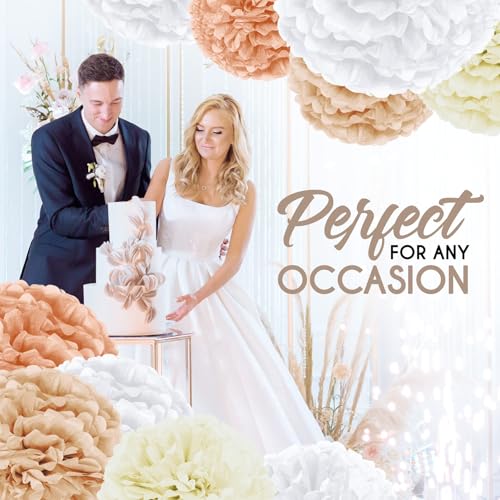Image of EPIQUEONE 20 Pieces Blush Pink, Dusty Rose, Mauve, Cream Tissue Paper Pom Poms - Ceiling and Party Decorations - Backdrop Flowers (White, Ivory, Peach, Champagne)