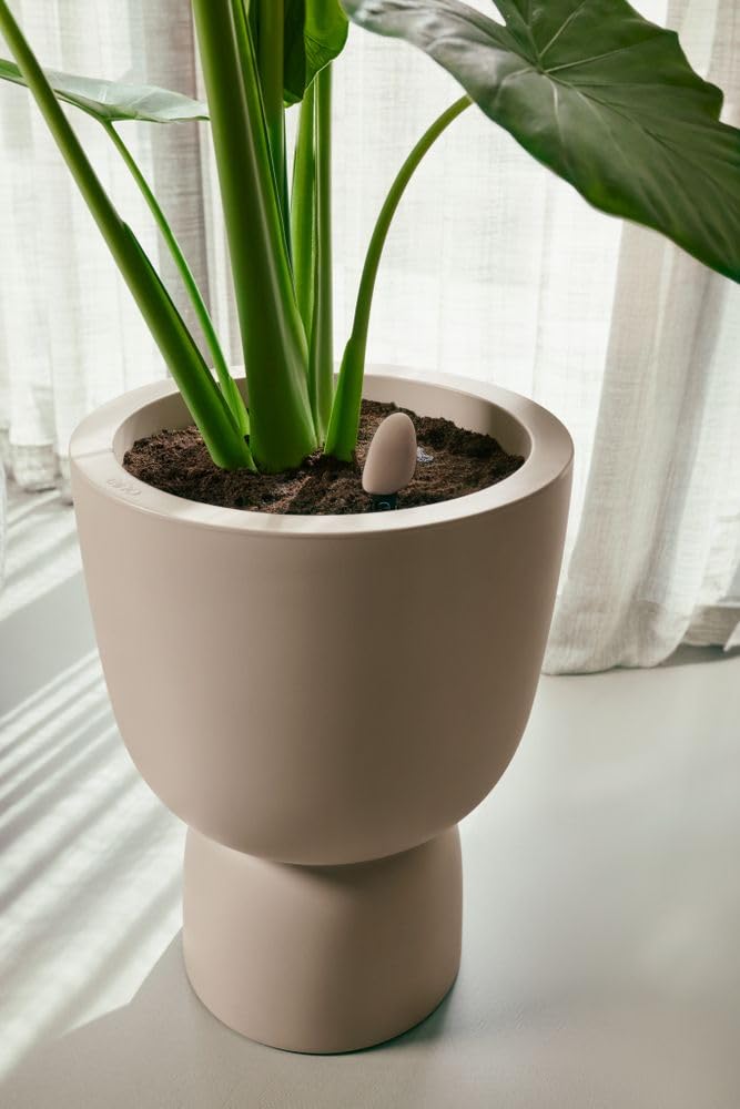 elho Smart Pebble - Smart Meter for Plants - Indoor Moisture, Light and  Fertiliser Sensor - Plant Care with App - L 4.0 x W 5.0 x H 17.3 cm -  Brown/Earthy Brown : Amazon.com.au: Garden
