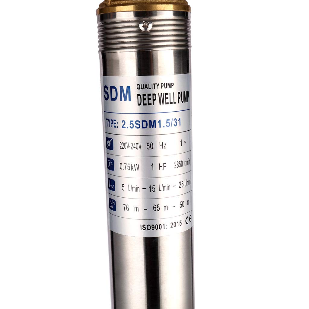 Pompa sommergibile in acciaio inossidabile da 1HP Pompa per pozzi profondi da 2,5"Pompa per pozzi d'acqua 220V Max.Q 2,8m³/h Max.H 82m/269 piedi per l'irrigazione industriale del giardino di casa