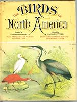 Studer's Popular Ornithology: The Birds of North America ... 0517229153 Book Cover