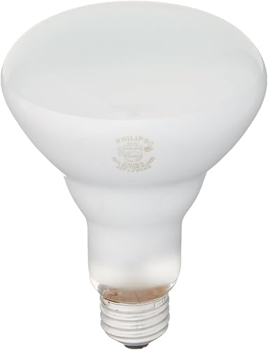 PHILIPS B00X6S1RAA 248872 - Bombilla de inundación para interior (65 W, BR30, 12 unidades)