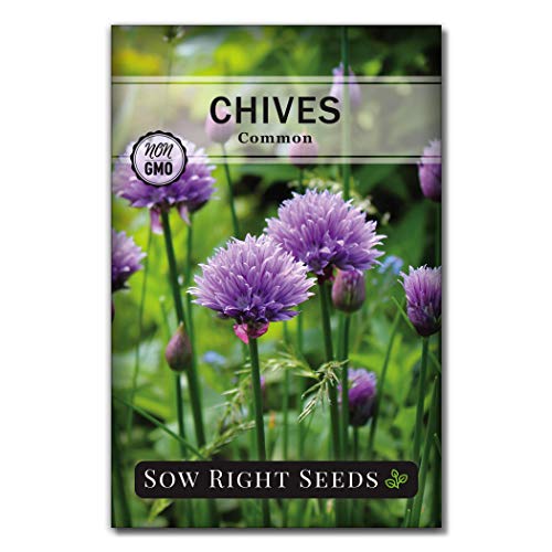 Sow Right Seeds - Common Chives Seed for Planting - Non-GMO Heirloom Packet with Instructions to Plant and Grow Kitchen Herb Garden Indoor or Outdoor - Mild Onion Flavor (1)