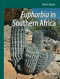 euphorbia characias purple and gold  Euphorbia in Southern Africa