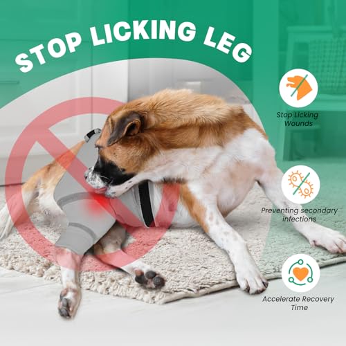 Image of Dog Rear Leg Sleeve to Stop Licking, Hind Leg Protector After TPLO Recovery, ACL Surgery, Wounds or Skin Issues, Soft Breathable Comfortable Cover for Large Medium Small Dogs, S,Right, Light Grey