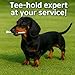 DACHSTEE Golf Tee Tether Leash Anchor – Prevents Tee Loss Dachshund – Fun Golf Accessory Gift for Dog Lovers Saver (Black)