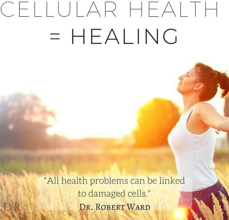 Flamasil™- for Healthy Inflammation Response* | Multi-Herbal Pain Reliever* and Joint Aid | Bio-Enhanced Turmeric, Boswellia, Resveratrol, and More | 13-in-1 Superfood Antioxidants | 30-Day Supply - Image 7