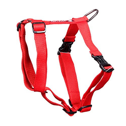 See full amazon price history chart for Pets Like Poly Body Belt, Red (Medium) Pets Like Poly Body Belt, Red (Medium) (B071ZRQZ2G) Amazon Price History, Amazon Price Tracker