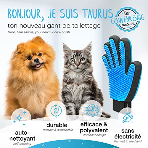 LÖWENKÖNIG 1 (Gant de toilettage Bleu) – Image 3