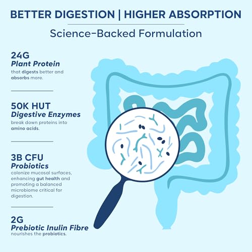 Image of Foodstrong Gut Friendly Plant Protein - Vanilla | 24g Complete Plant Protein with Probiotics, Digestive Enzymes, Prebiotics & Indian Herbs | Vegan | No Sugar | 500g