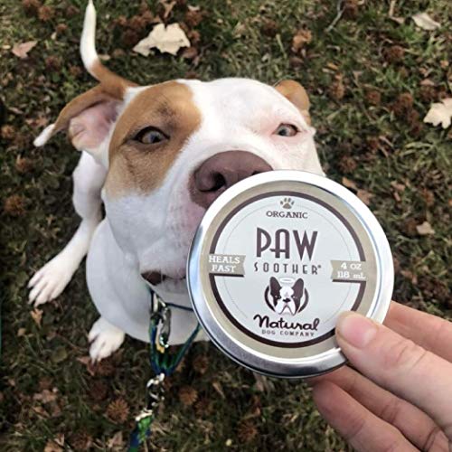 paw soother from natural dog company