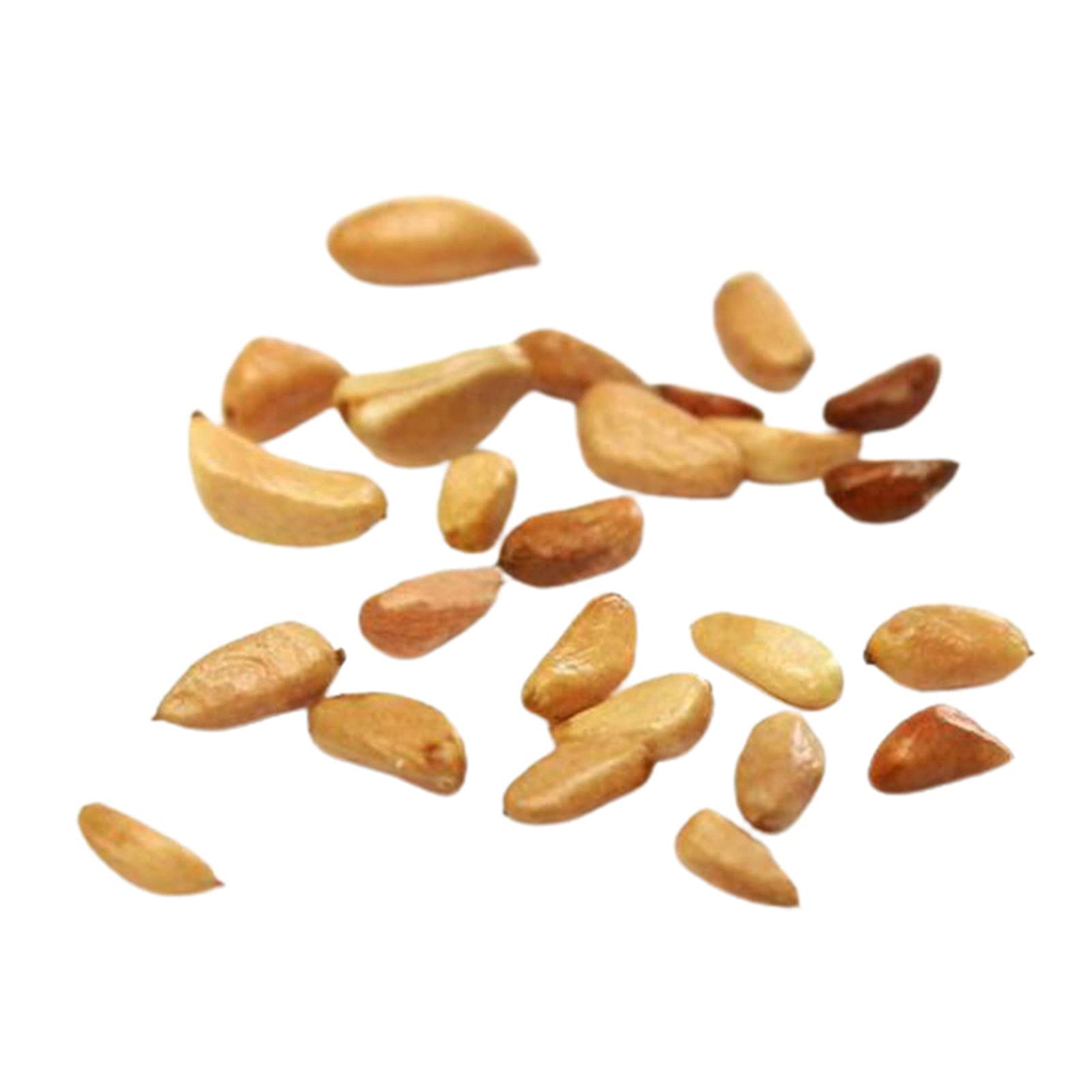 100Pcs Beautiful Prolific Rose Seeds Easy Plant Gardening Gift Flower Seeds for Balcony - Rose Seed - Flower Seeds Vegetable Seeds Fruit Seeds Garden Plant Seeds for Planting