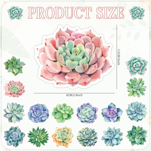 Imanes decorativos de plantas suculentas 16 pzas miniatura 2