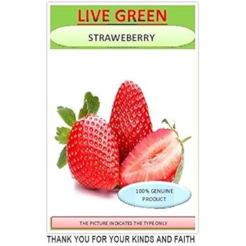 Live Green Strawberry F1 Hybrid Seeds For Gardening Amazon In Garden Outdoors
