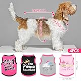 4 Stück Chihuahua-Kleidung, süße Hundehemden Mädchen, für kleine Hunde, weich, bequem, rosa, XXS, Hundekleidung, Haustierkleidung, Hemd für Teacup-Hunde, Yorkies, Welpen, Kätzchen