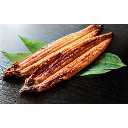 うなぎ蒲焼き 400g (200g×2尾)